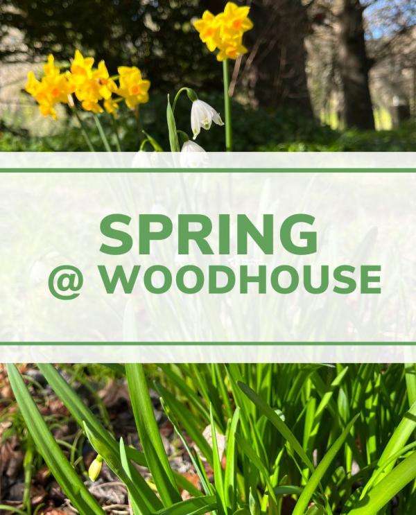 Spring Woodhouse2