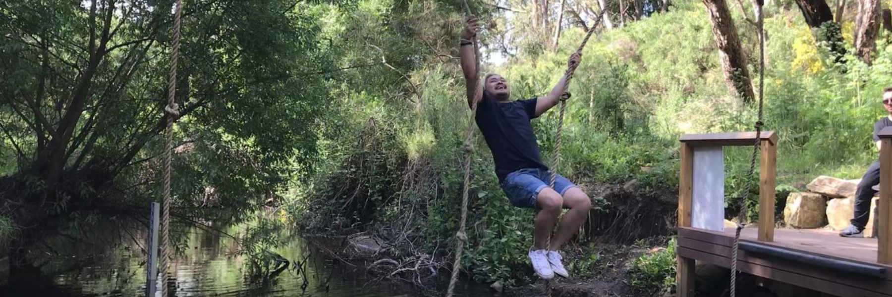 Wellness Banner 1