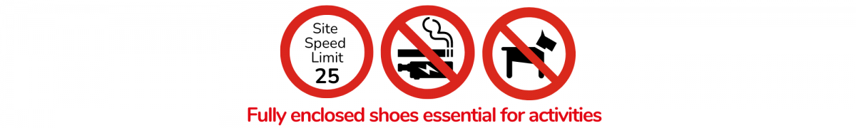 No pets