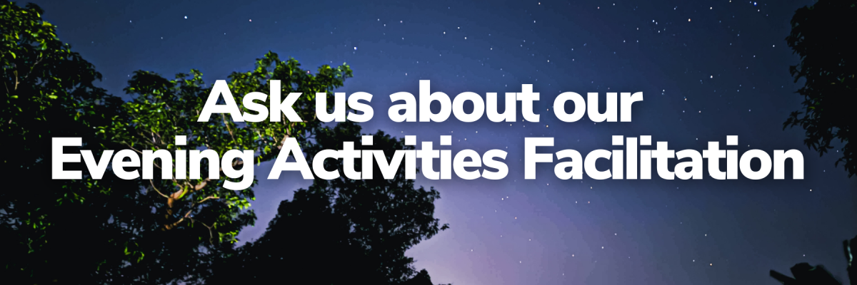Evening Activity Facilitation