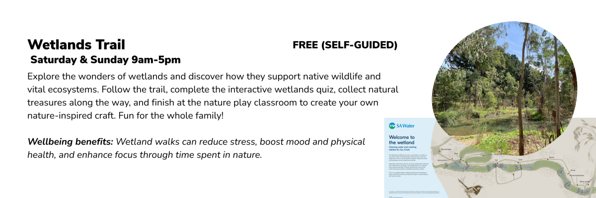 Website wellness 1800 x 300 px 31