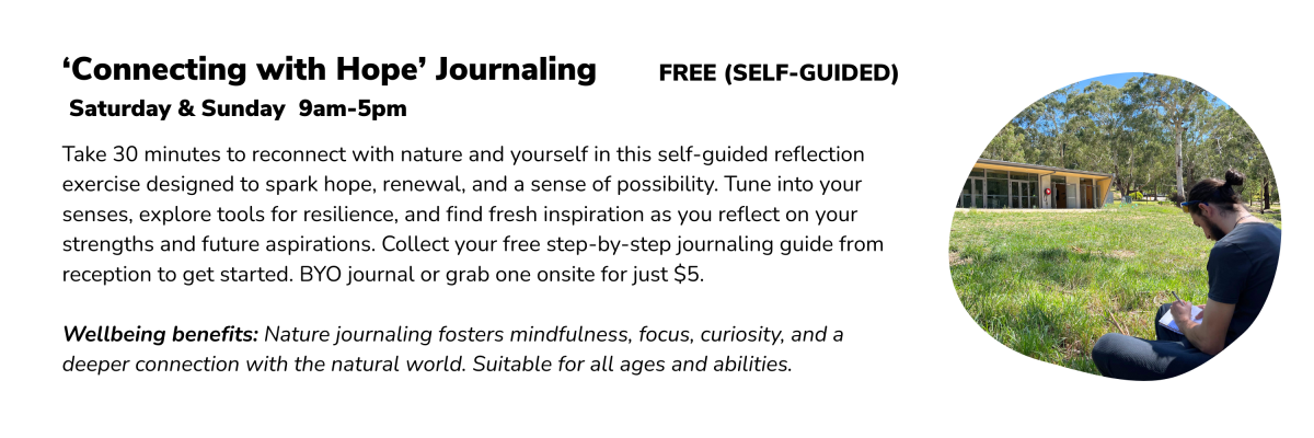 Website wellness 1800 x 300 px 33