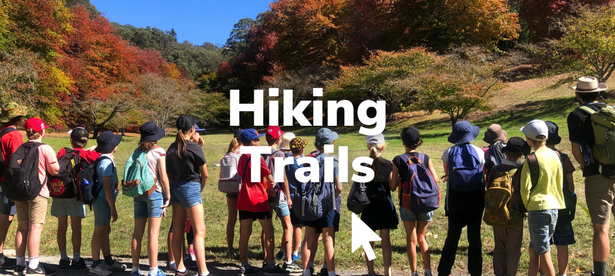 Hiking Trails More