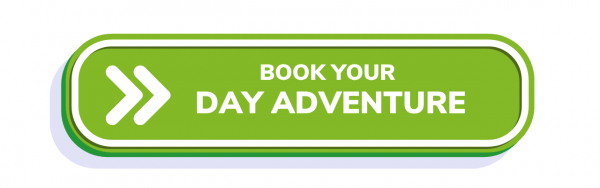 Book your day adventure No Price 1