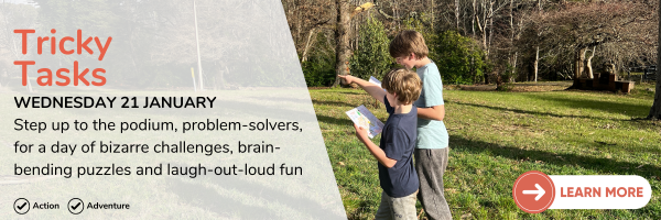 21 January Tricky Tasks Description2