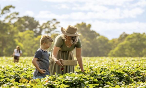 Explore the Adelaide Hills from Woodhouse