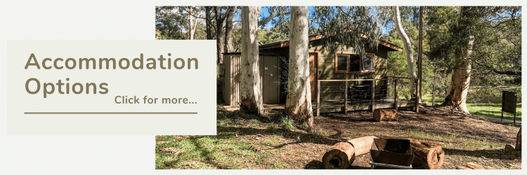 Accommodation options