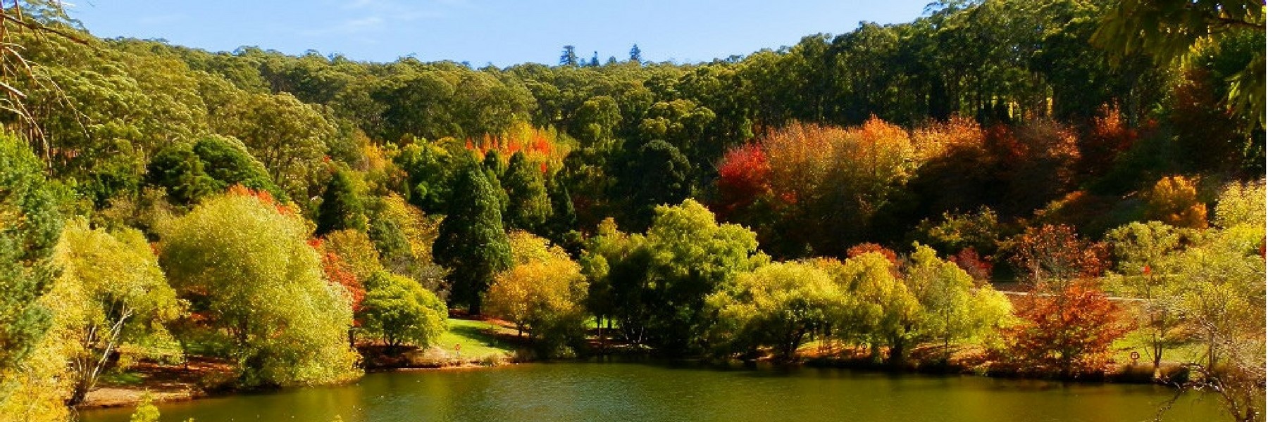 Mt Lofty Botanic Gardens