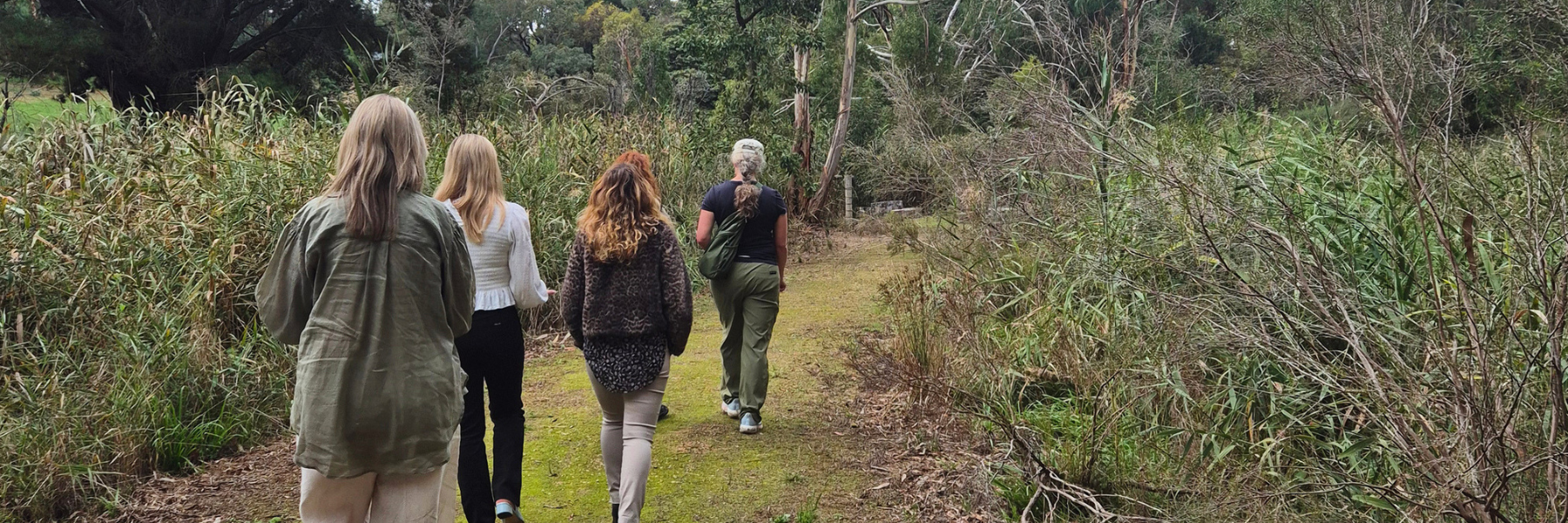 Natureconnectionbanner