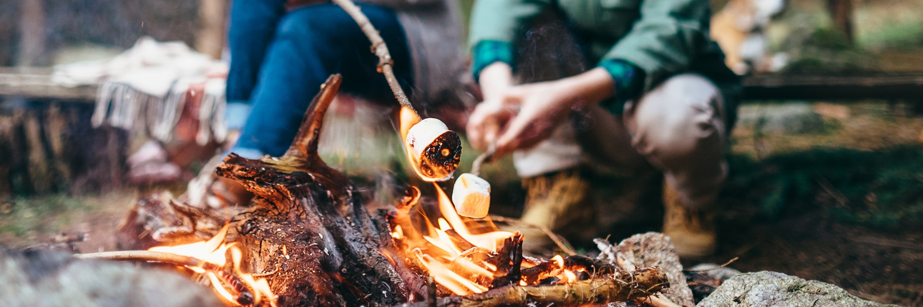 Toasting marshmallow2