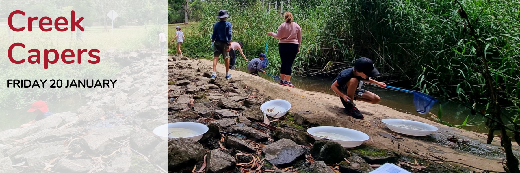 Creek Capers