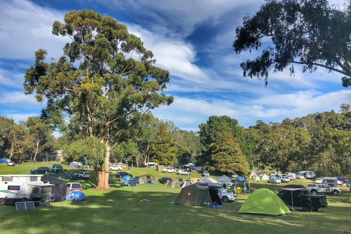 Woodhouse camping atmosphere