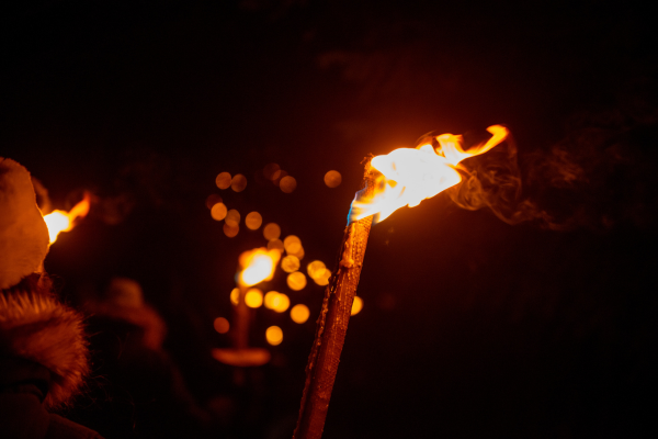 Flameboree Firetorch