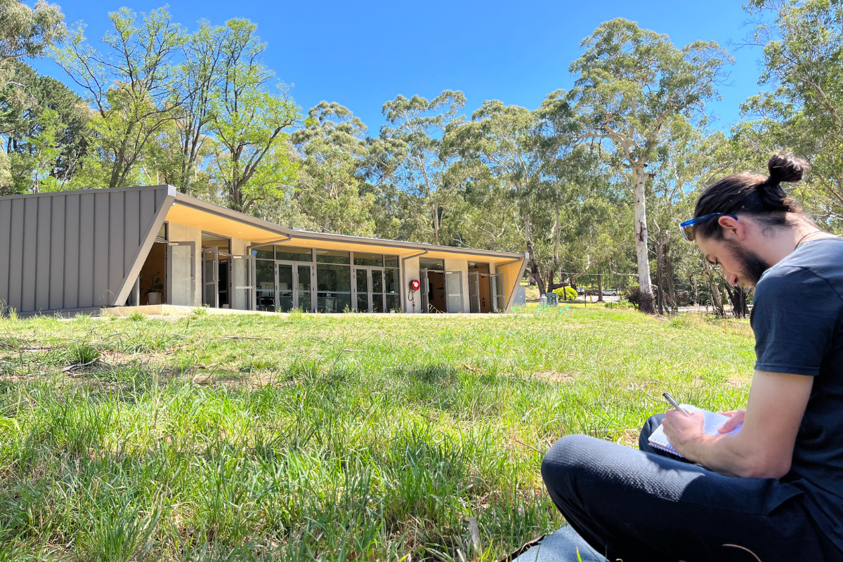 Mindfulness in nature at Woodhouse