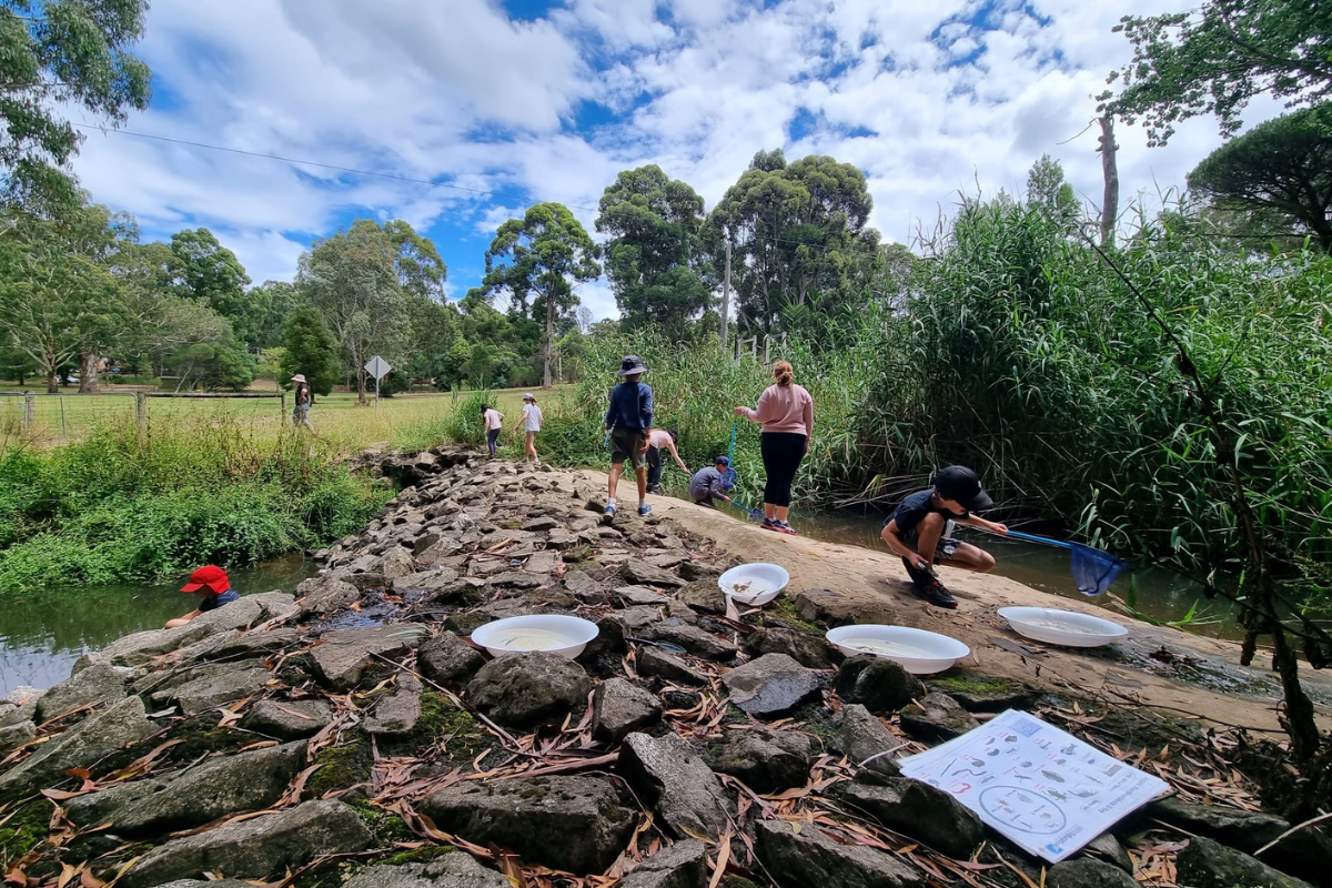 Exploring the natural world at Woodhouse