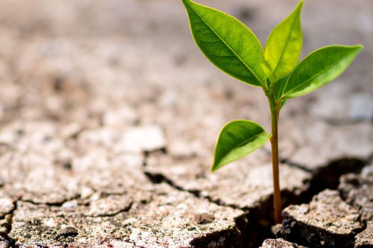 Thriving Through Change