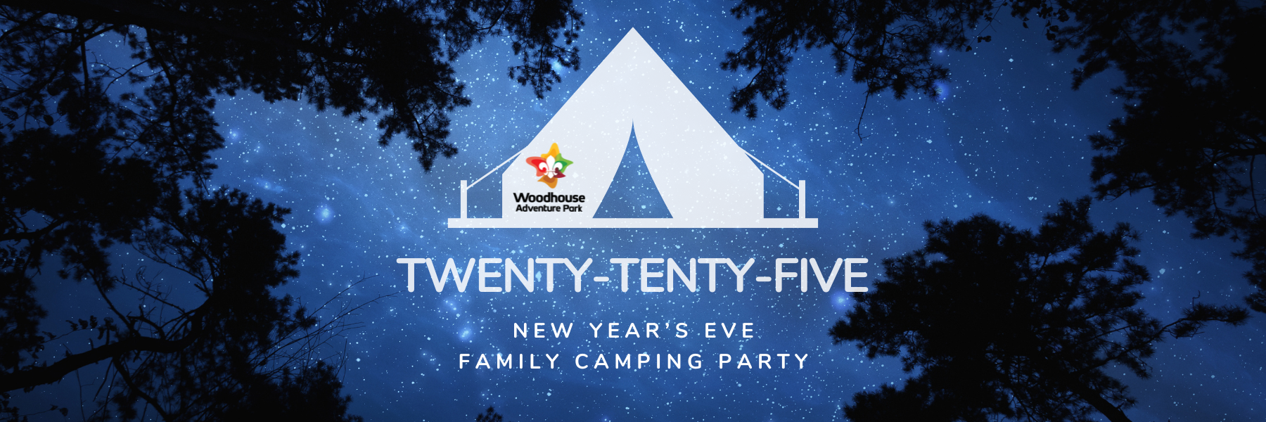 Twenty Tenty New Years Eve NYE Website Banner 1