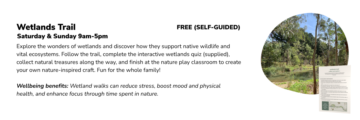 Website wellness 1800 x 300 px 37
