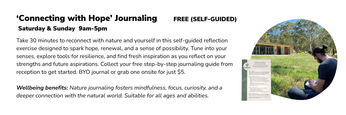 Website wellness 1800 x 300 px 38