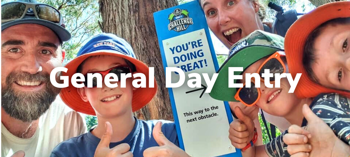 General day entry