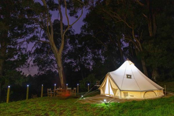 Family Camping and Accommodation 1