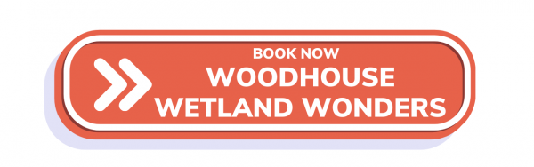 wetland wonders 