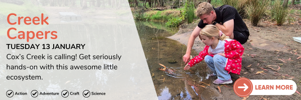 13 January Creek Capers Description