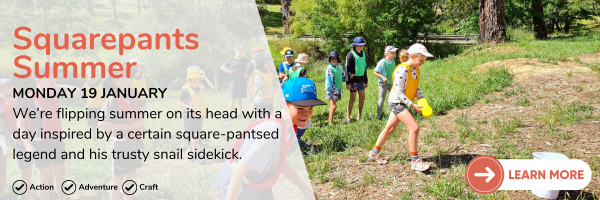 19 January squarepants summer Description