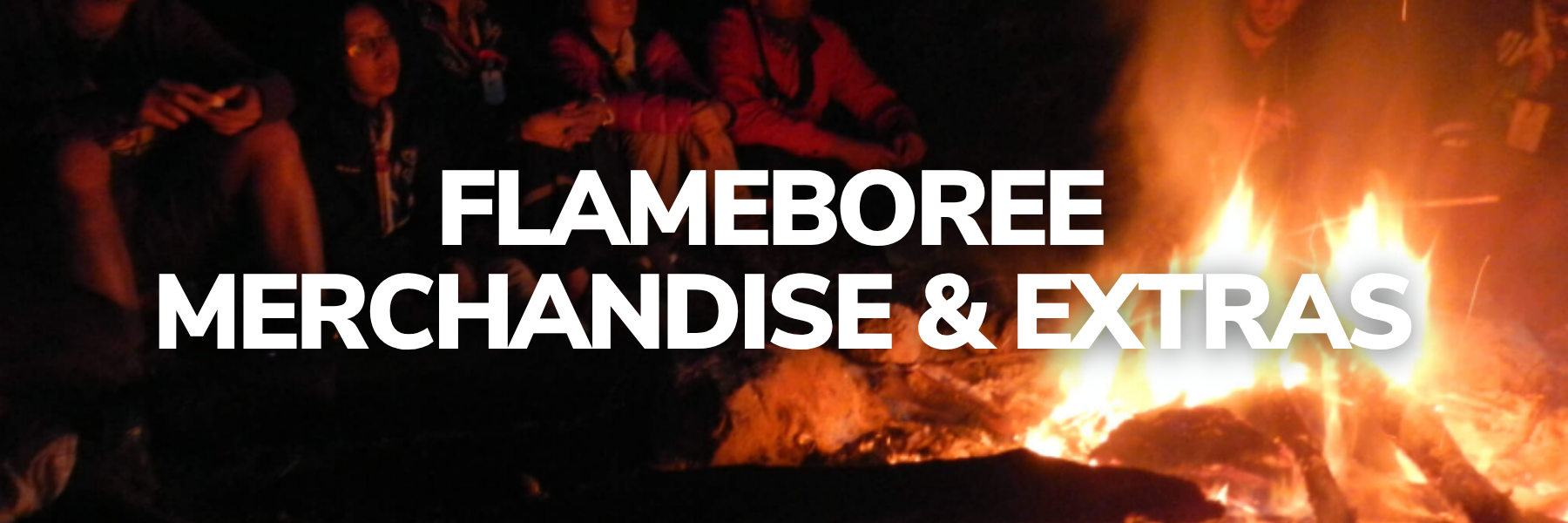 Website Banners logos 50